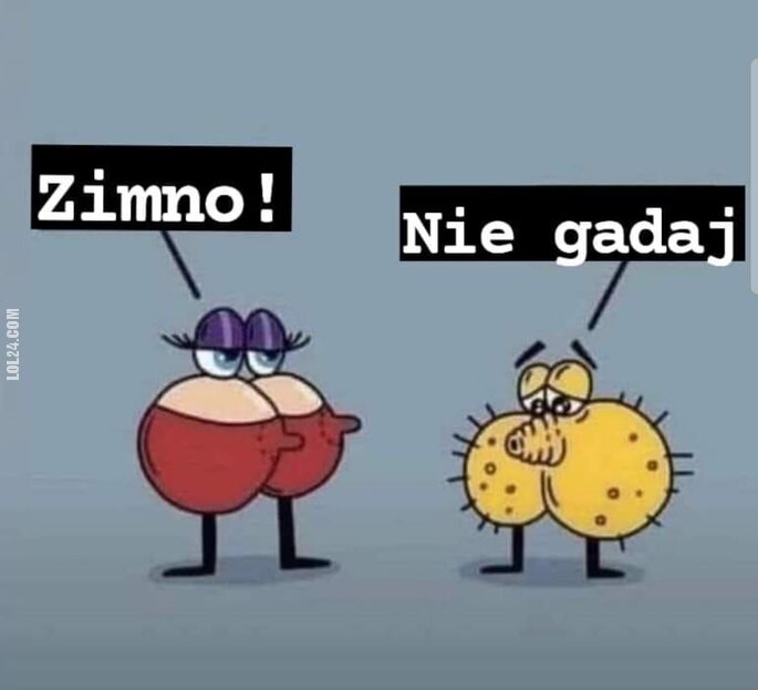 satyra : Robi się zimno