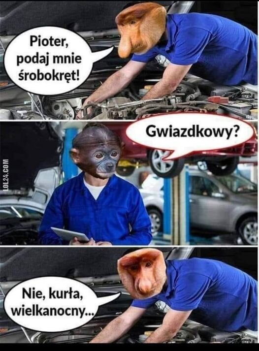 MEM : Pioter, podaj mnie śrubokręt!