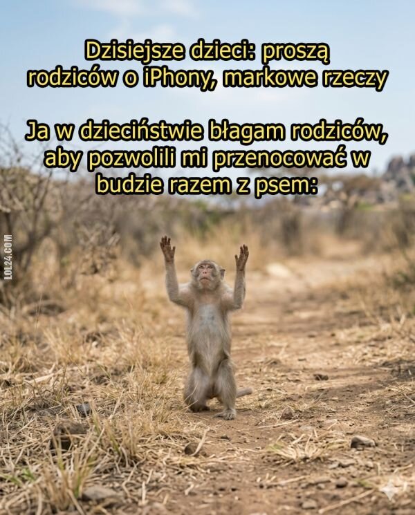 MEM : Inne priorytety