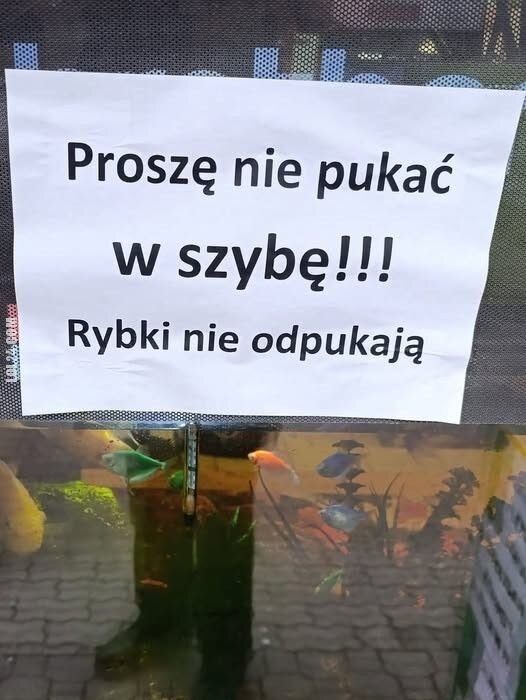 napis, reklama : Proszę nie pukać w szybę