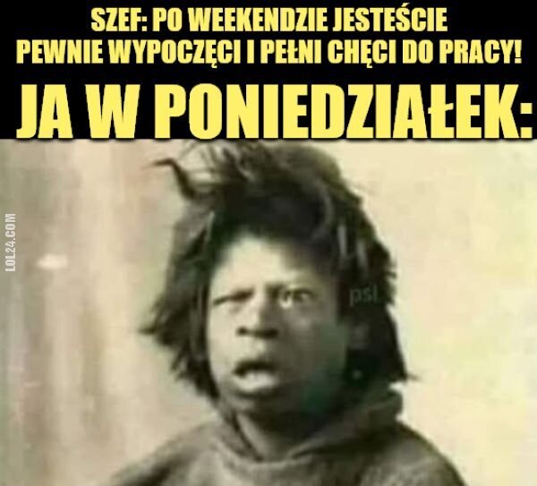 MEM : Ja w poniedziałek