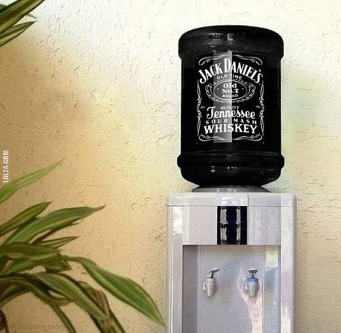 inne : Dystrybutor Jack Daniel's