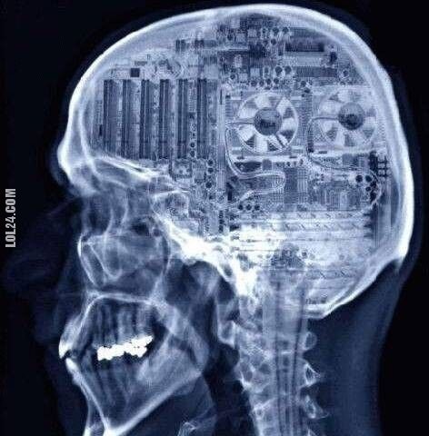 technologia : mózg