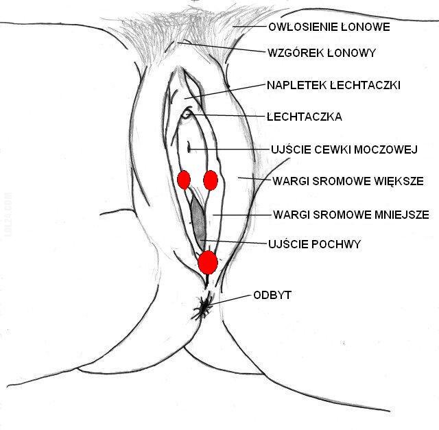 rysunek : Całkiem ładna mapa