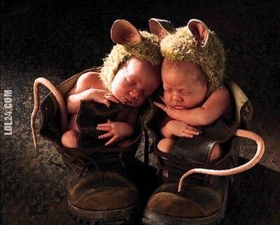 dzieciak : myszki śpią w butach