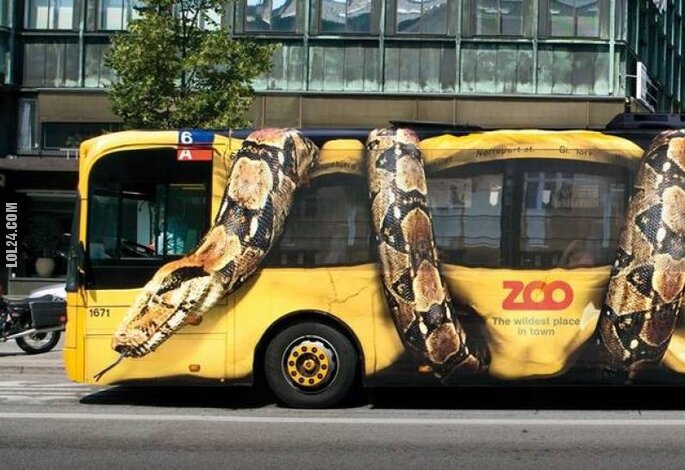 napis, reklama : Reklama na autobusie - Zoo