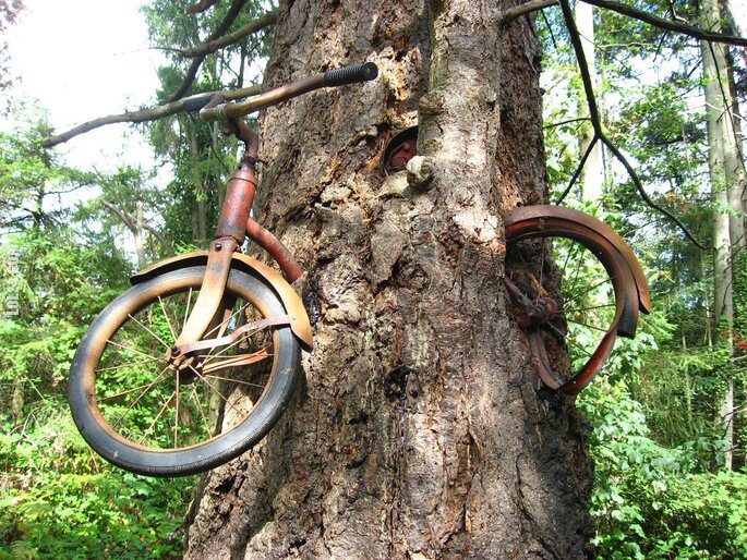 rzeźba, figurka : Rower w drzewie