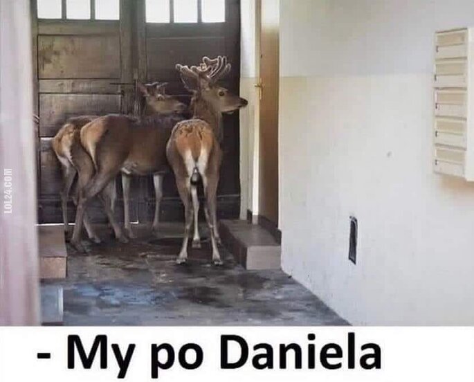 MEM : My po Daniela