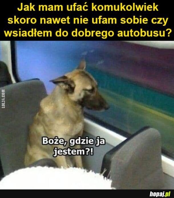 MEM : Jak zaufać