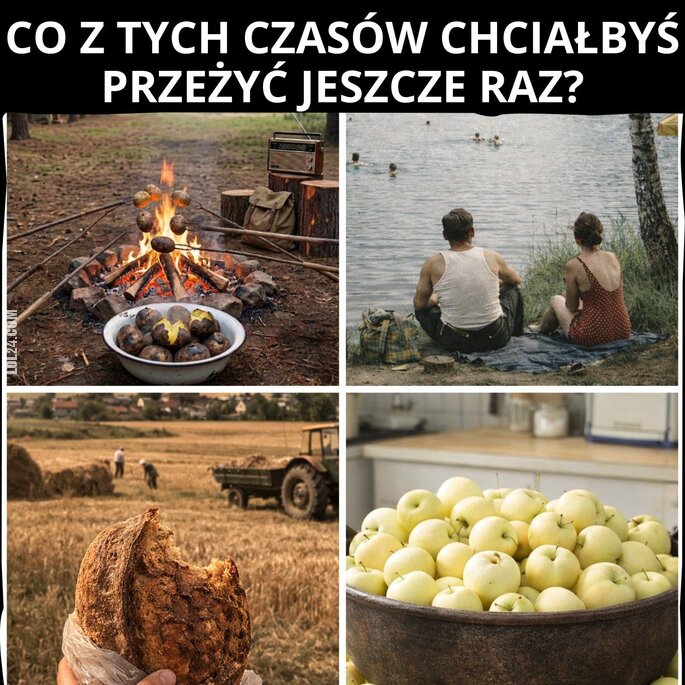 inne : Stare dobre czasy, czyli wakacje na wsi