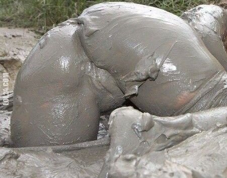 seksowna : Wiejskie, wiosenne roztopy...