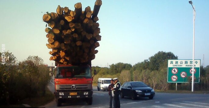 motoryzacja : Przewóz drewna w Chinach