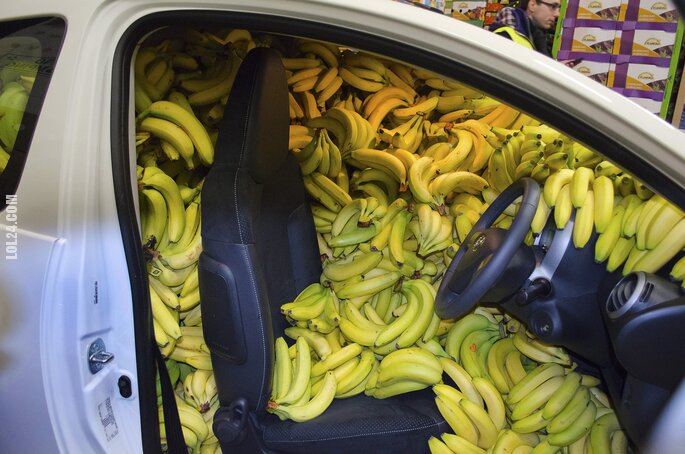 motoryzacja : Samochód z bananami