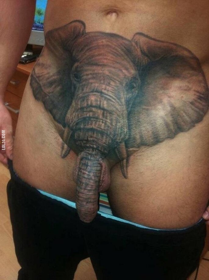 inne : Tatuaż słonia, penis i trąba!