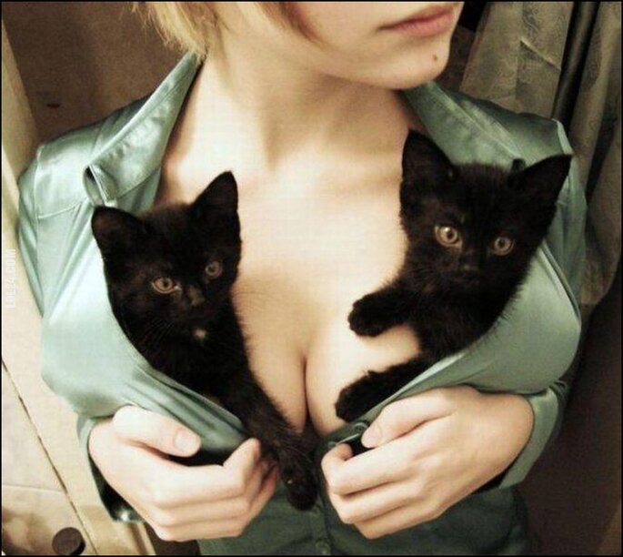kobieta : Aaa, kotki dwa