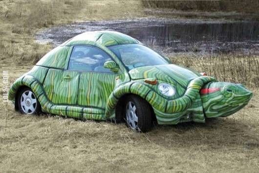 motoryzacja : Żółwie auto