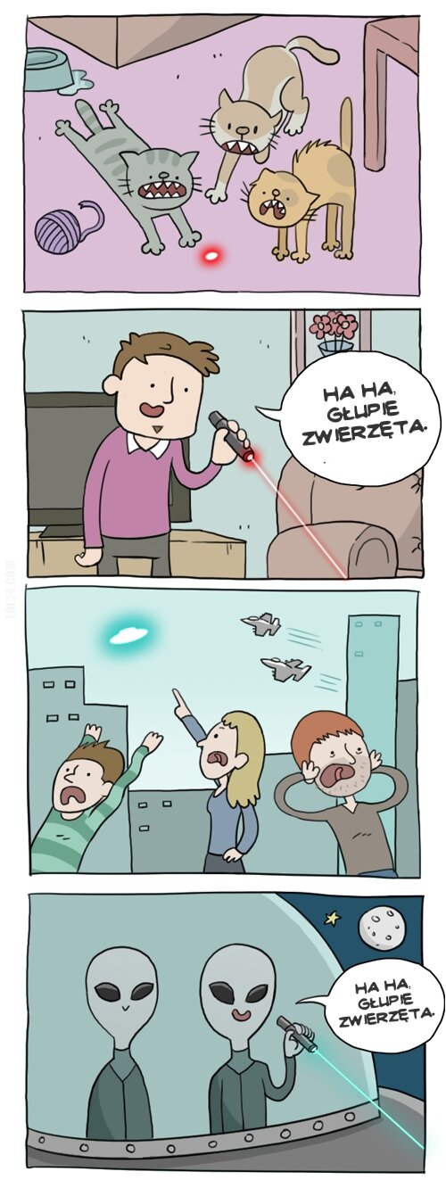 komiczne : HA HA, głupie zwierzęta.