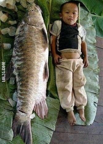dzieciak : Ryba & Dzieciak