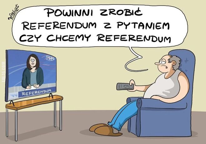 polityka : Referendum
