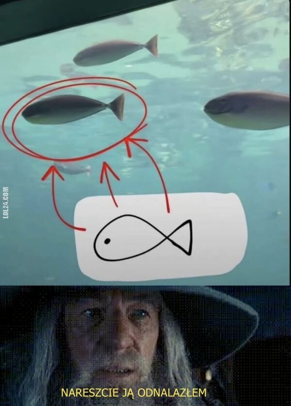 MEM : Ona naprawdę istnieje!