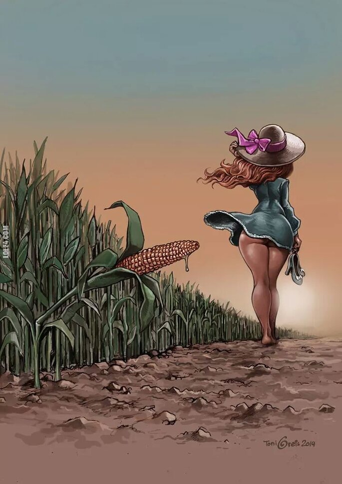 rysunek : Na polu kukurydzy