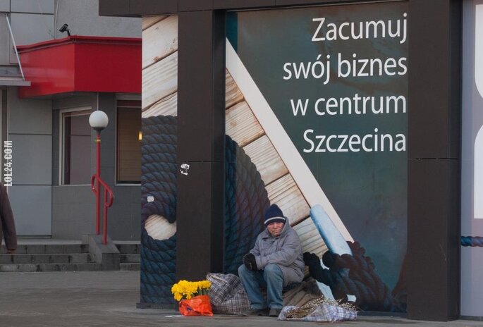 napis, reklama : Zacumuj swój biznes w centrum Szczecina