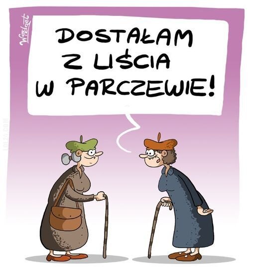 komiczne : Z liścia w Parczewie