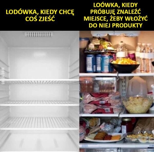 MEM : Lodówka Schrödingera