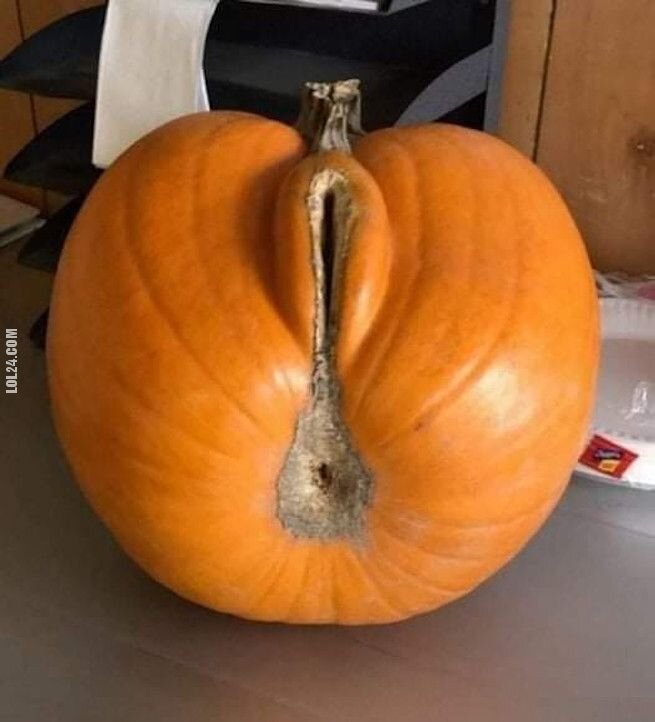 rzeźba, figurka : Świeże wspomnienia Haloween