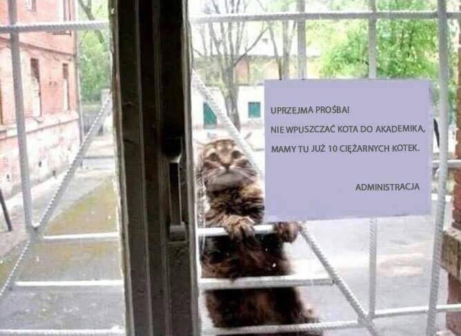 napis, reklama : Prosimy nie wpuszczać kota do akademika