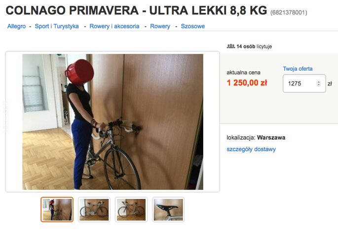 napis, reklama : Sprzedam rower COLNAGO PRIMAVERA - ULTRA LEKK