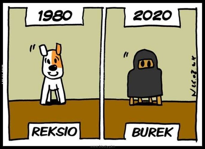 rysunek : REKSIO 1980 vs BUREK 2020