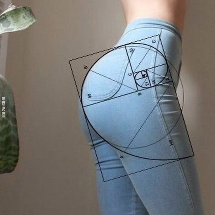 seksowna : Fibonacci ass