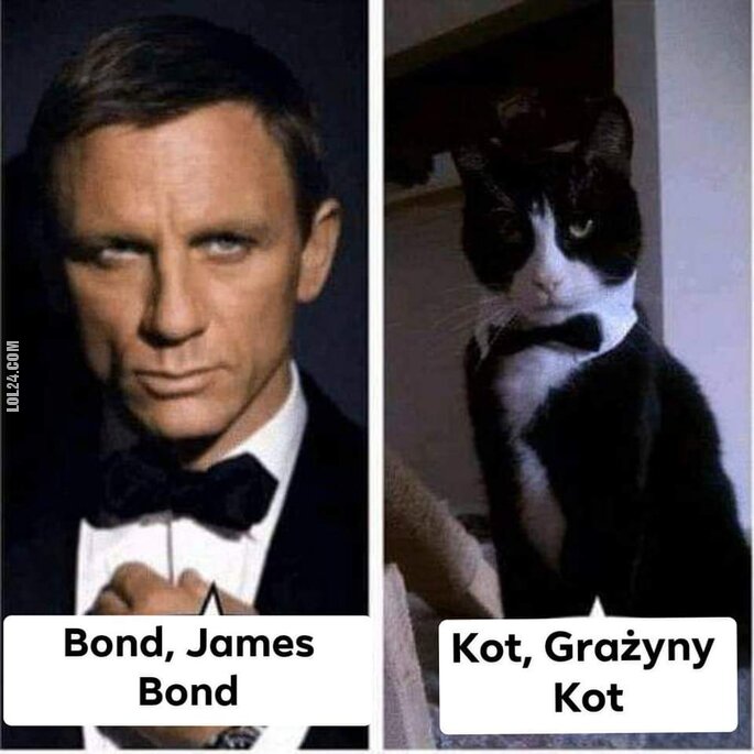 MEM : Bond....