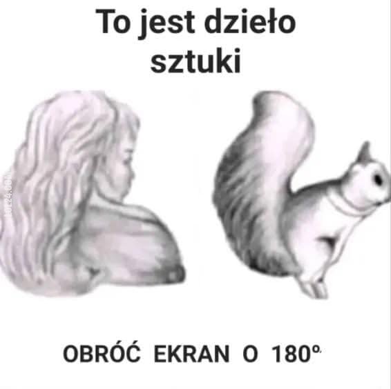 złudzenie : Obróć ekran o 180°