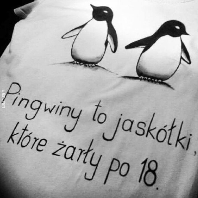 napis, reklama : Pingwiny to jaskółki które żarły po 18-nstej