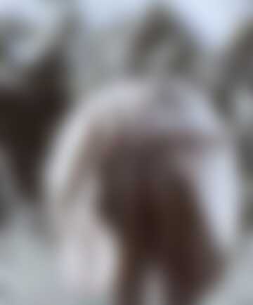 Komu podoba się sztuka nowoczesna?