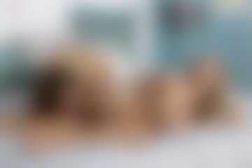 Smak Kobiecości #65