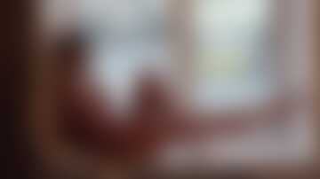 Ładny widok w oknie