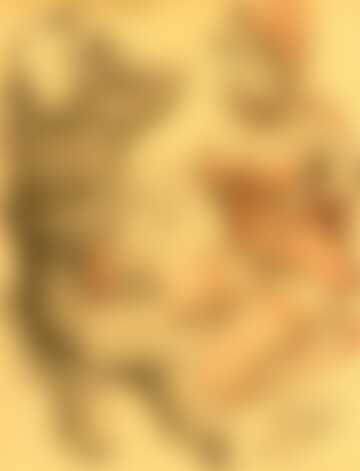 Czerwony kapturek 105