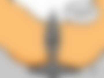 Byłeś kiedyś w Rzeszowie, kotku?