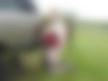 jak mężczyźni kochają samochody