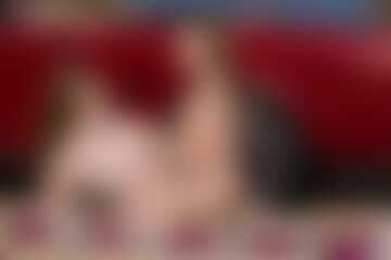 Seksowne Nożyczki #62