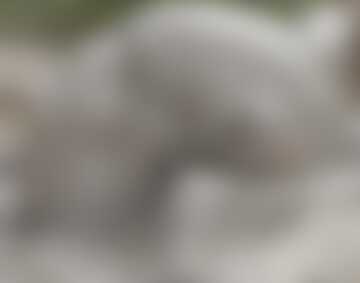 Wiejskie, wiosenne roztopy...