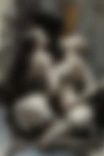 Trzy Ciała, Jedna Władza