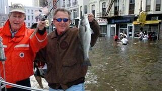 Bush na rybach