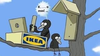 meble z Ikea