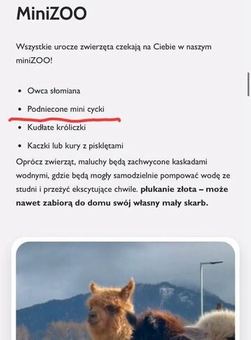 Atrakcyjne ZOO