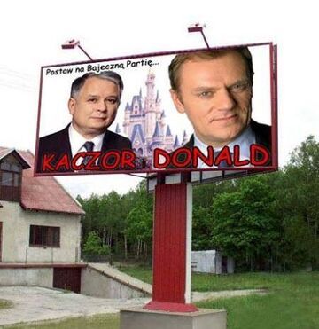 Kaczor Donald