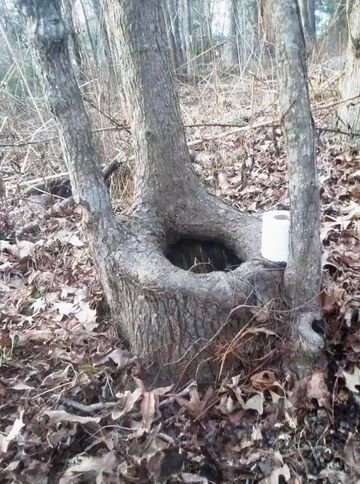Ekologiczna toaleta w lesie